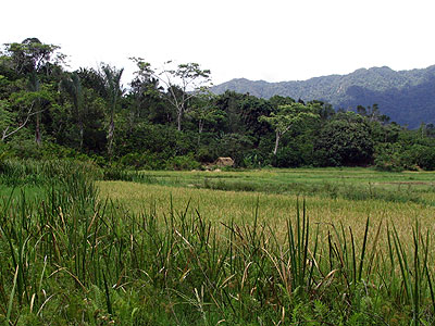 Antanetiambo